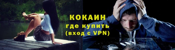 дурь Каменка
