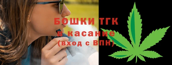 дурь Каменка