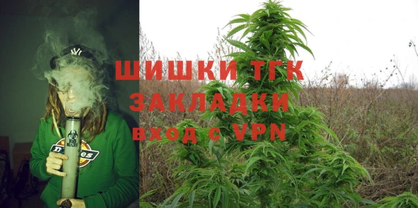 дурь Каменка
