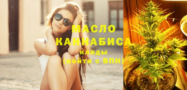 дурь Каменка