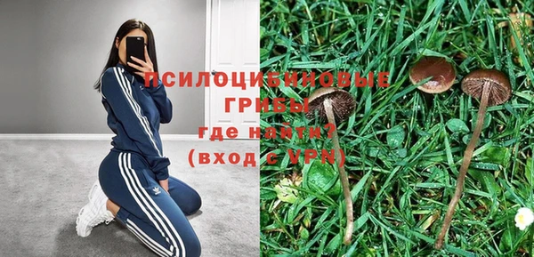 дурь Каменка