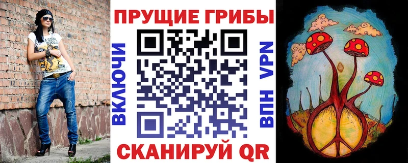 Купить где  Грязовец  Галлюциногенные грибы мухоморы 